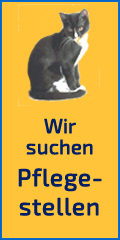 Wir suchen Pflegestellen - dringend